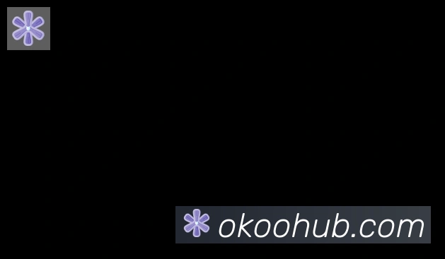 okooo合作伙伴